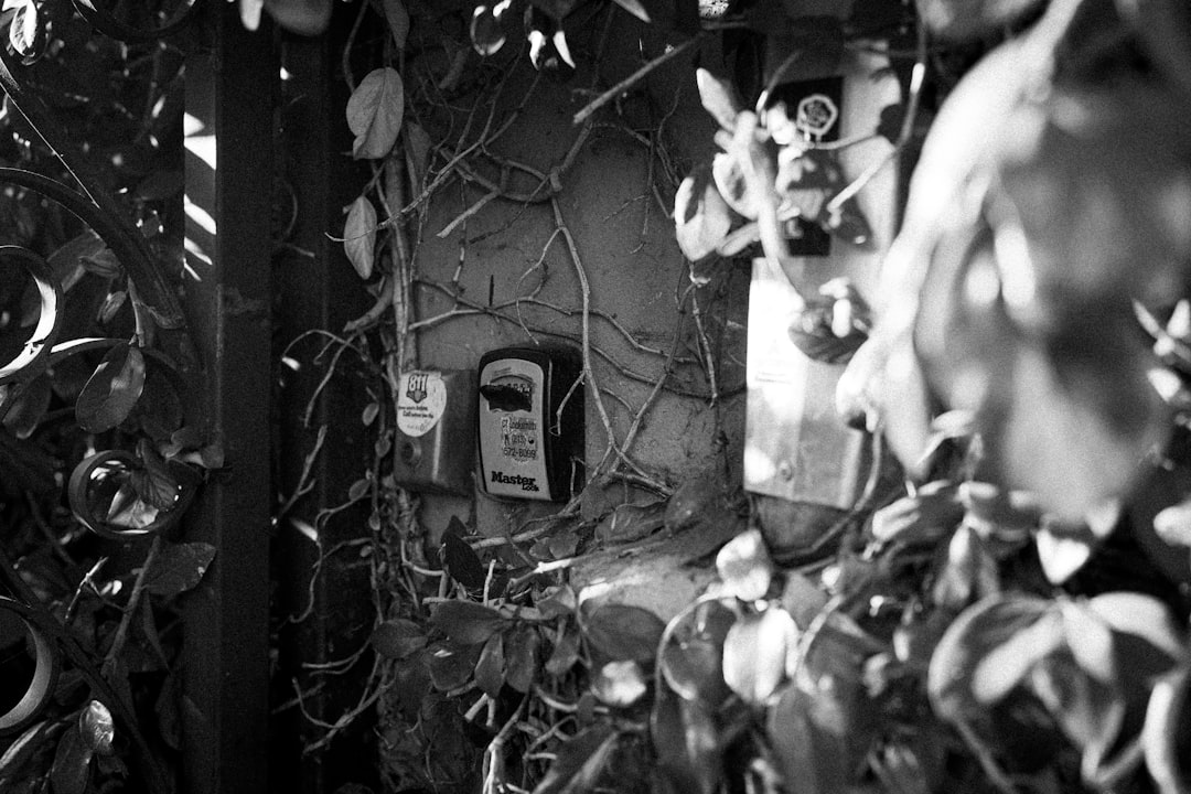 photo-1759107547027-1fd15603aaa2